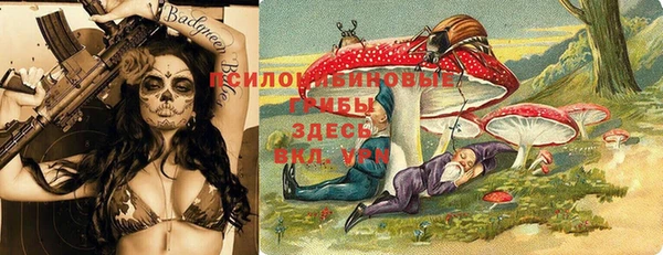 прущая мука Няндома