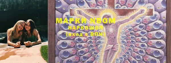 прущая мука Няндома